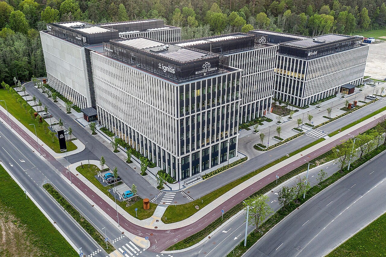 Power distribution lines of the kind operated by Lithuania's grid company ESO.