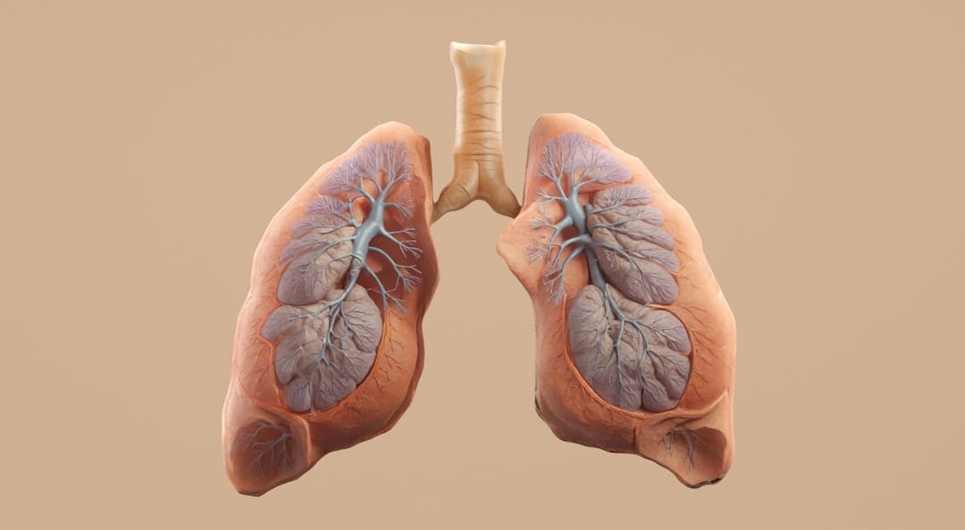 GRI Bio's GRI-0621 is being studied in patients with idiopathic pulmonary fibrosis.