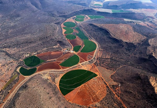 Beyers Nel, chief executive officer of Harmony Gold, said the bond offering reflects a disciplined approach to balance sheet 