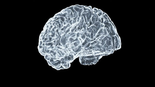 Filana Therapeutics is preparing a Phase 2a trial of simufilam in patients with drug-resistant seizures linked to tuberous sc